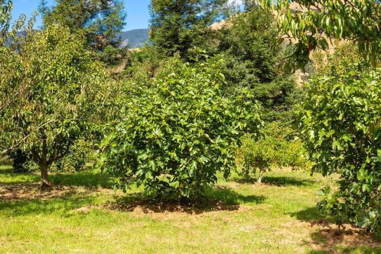 12 Prices Road Havelock_49