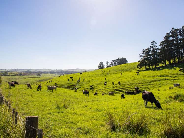 450a Settlement Road Kaiwaka_19