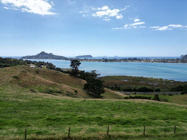 3327 Tairua Sh25 Road Pukepoto_10