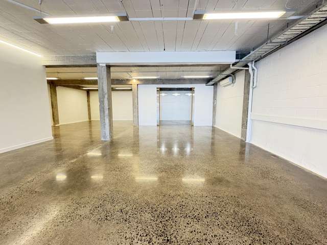 26 Monmouth Street Grey Lynn_1