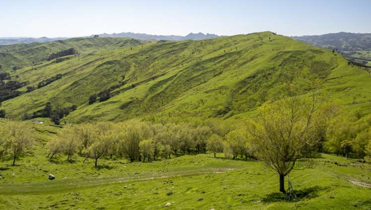 7 Hikawera Road Hinakura_7