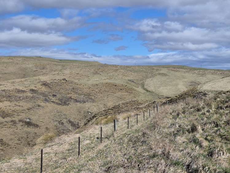 Golden Bar Road Dunback_6