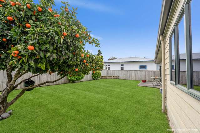 800 Princes Street Parkvale_4