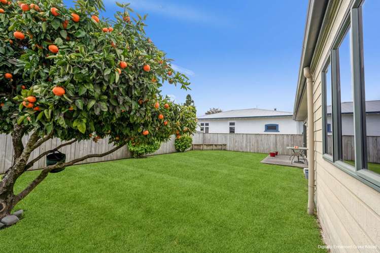 800 Princes Street Parkvale_4