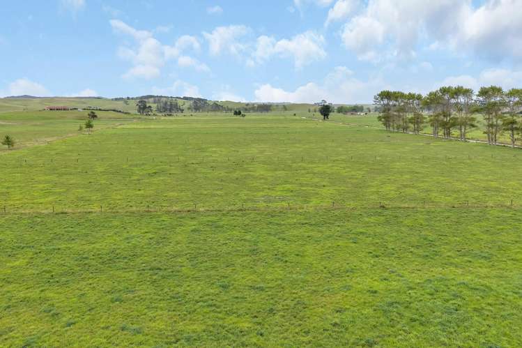 1067 Hoanga Road Dargaville_25