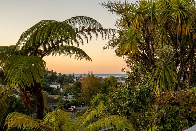 7 Ngatitama Street Nelson South_6