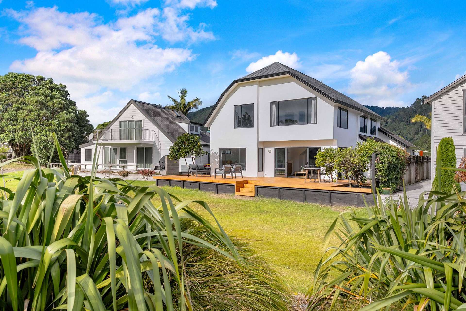 10 Ajax Head Pauanui_0