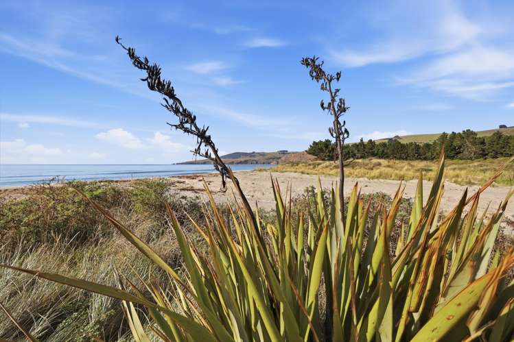 44 Driver Street Long Beach_20