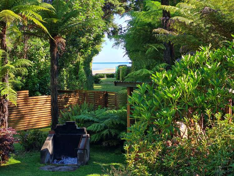 81 Awaroa Inlet Awaroa_4