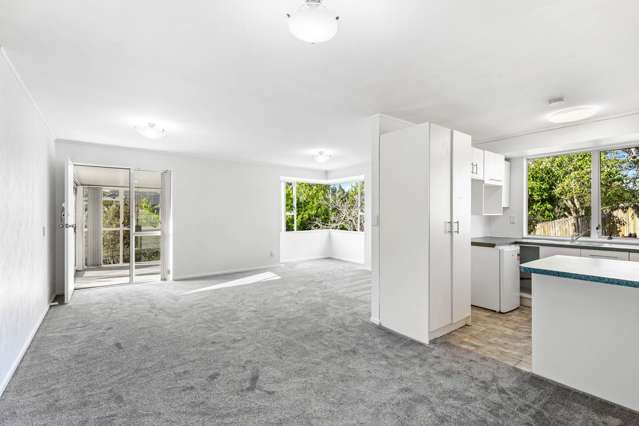 227 Glengarry Road Glen Eden_3