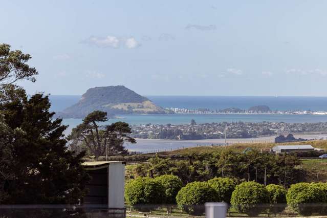 437 Minden Road Wairoa_3