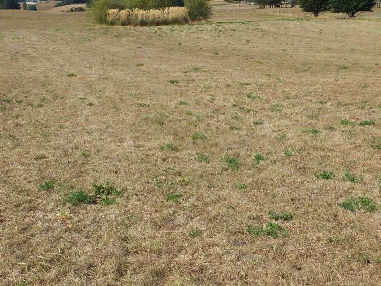 294 Parsons Road Weston_5