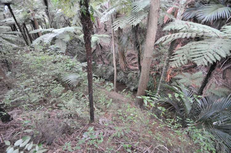 641 Valley Road Kaiwaka_14