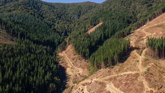 Tunakino Valley Rai Valley_1