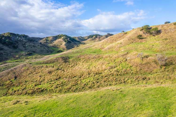 Kawhia Road (SH 31) Kawhia_11