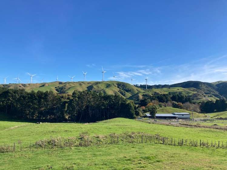 Lot 1 Tararua Road Pahiatua_5