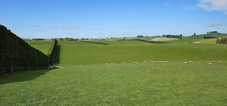 919 Miller Road Clinton and Surrounds_2