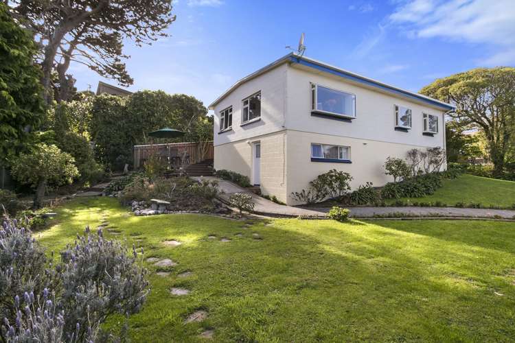 7 Pine Tree Lane Korokoro_0