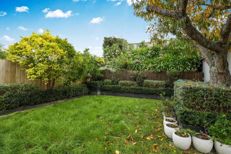 53 Williamson Avenue Grey Lynn_9