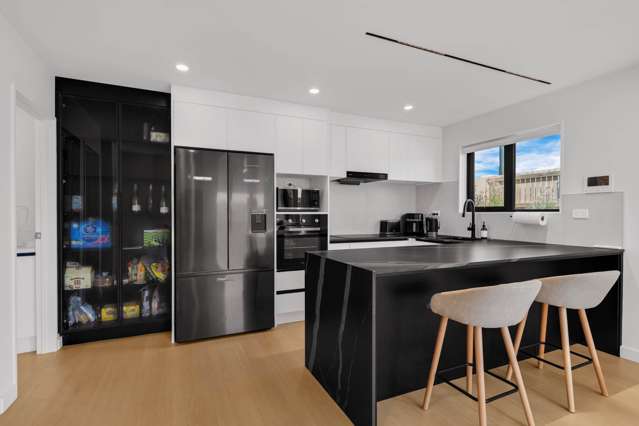 51A Ellis Avenue Mt Roskill_3