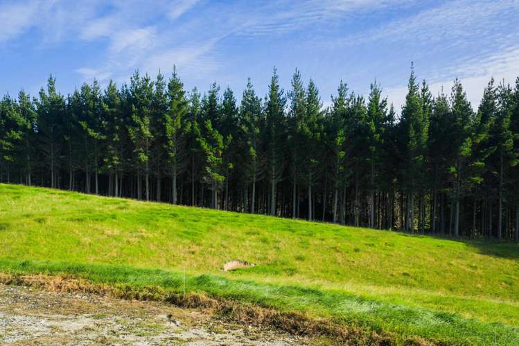 Ararua Road Matakohe_12