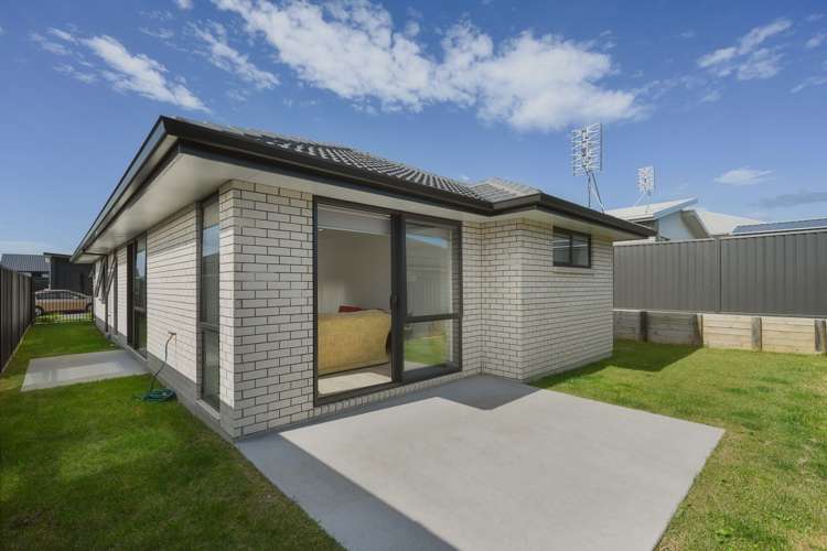 14 Ash Lane Omokoroa_12