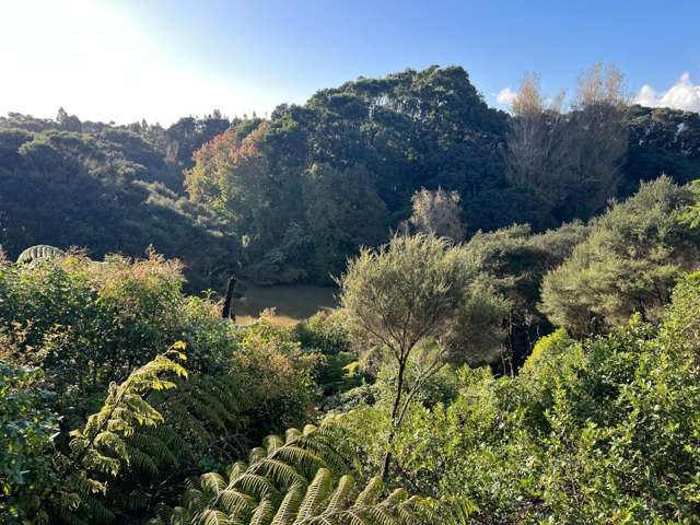 86 Mahana Road Waimauku_2