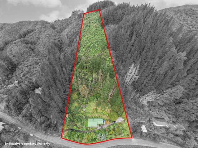 298 Moores Valley Road Wainuiomata_1