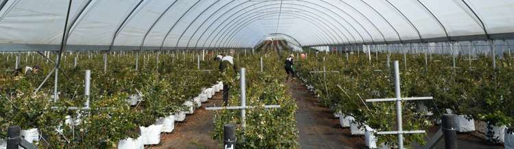 162 Pukeatua Road Maungatapere_12