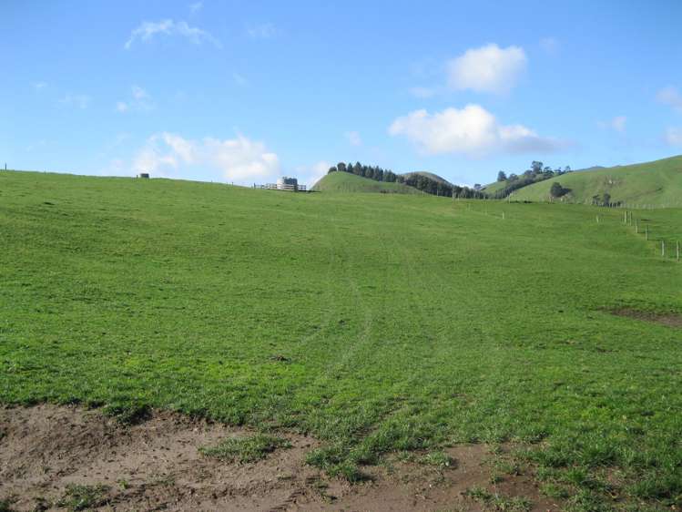 Mangatete Road Ngakuru_7