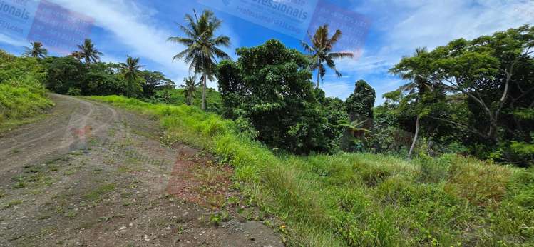 Address withheld Savusavu_22