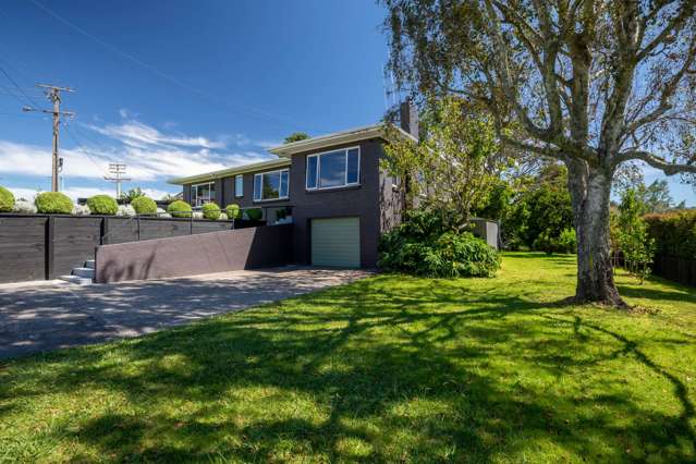 47 Esk Street Parkvale_1