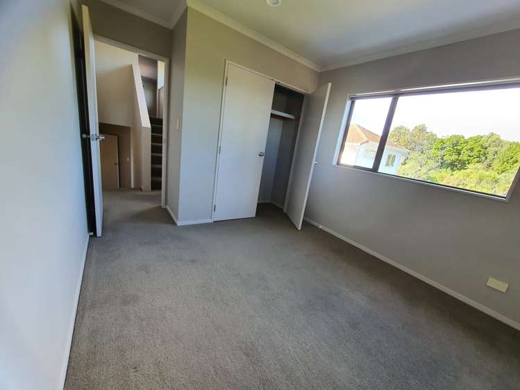 31a Tiverton Road Avondale_20