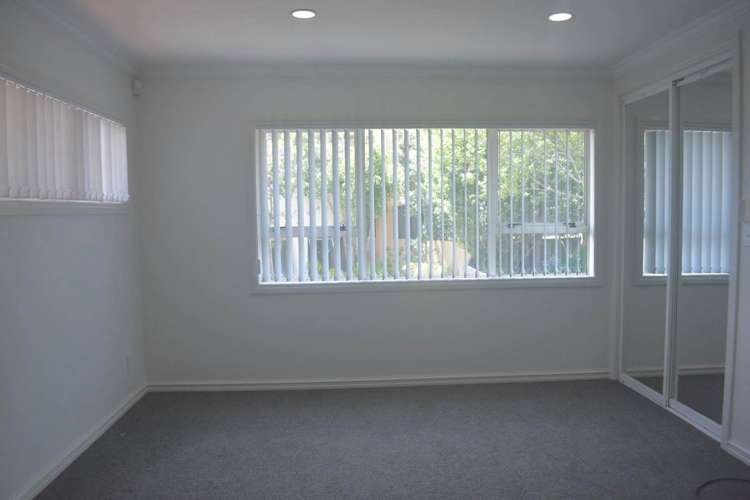 114 Frederick Street Hillsborough_17