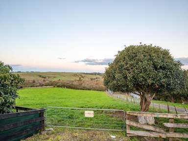 46D Lockerbie Lane_3