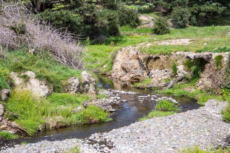 200 Garfield Road Norsewood_14