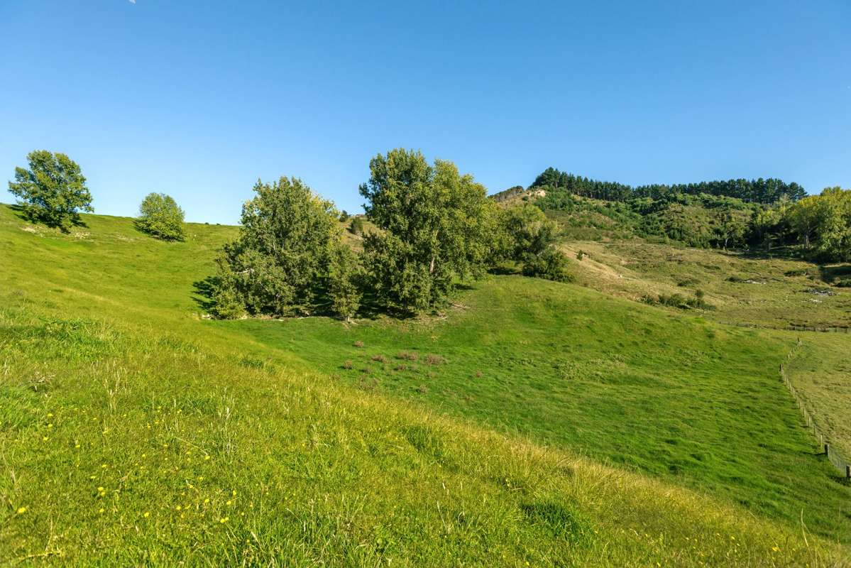 Lot 2 Repongaere Road_2