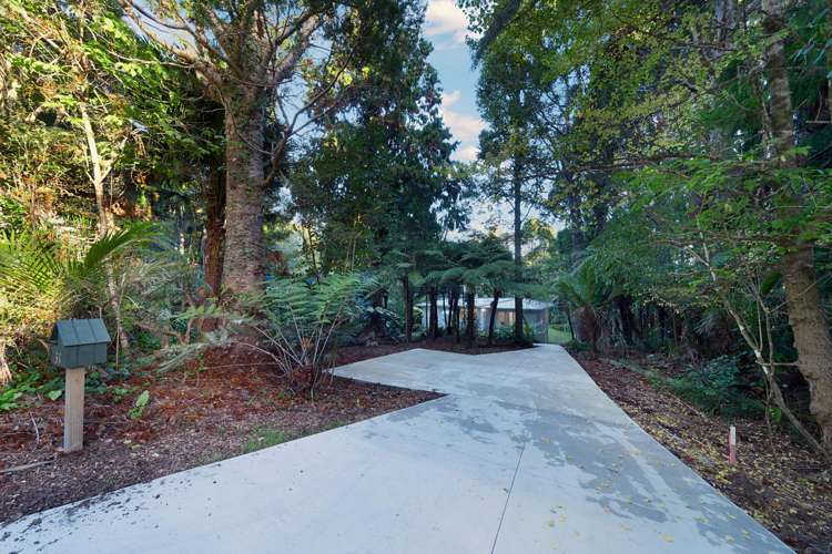 31 Ngaio Road Titirangi_17