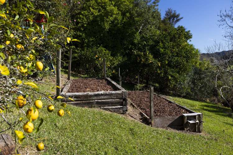 10 Green Lane Access Kaeo_28