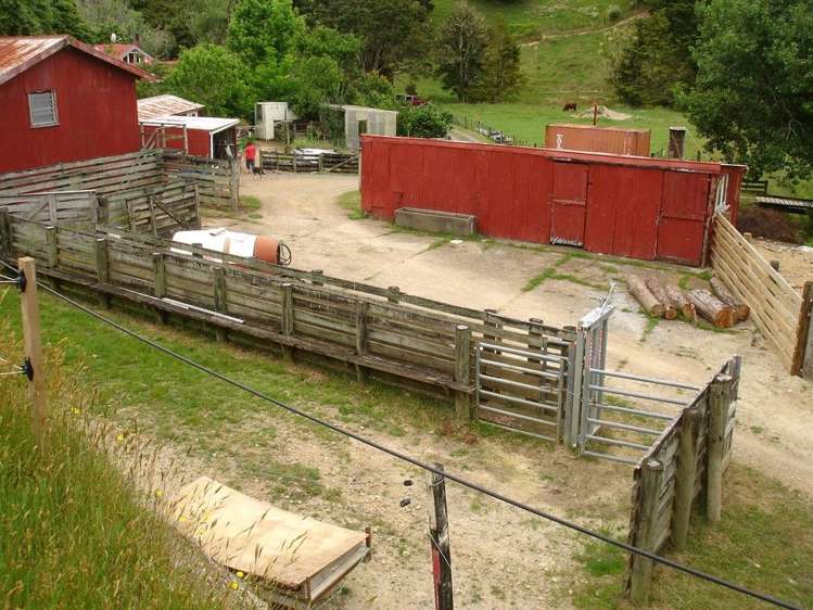 361 Kaiikanui Road Hukerenui and Surrounds_11