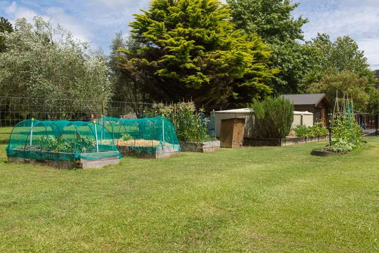 20 Westminster Glen Matakana_24