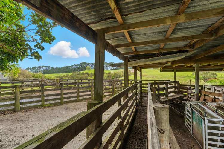 179 Lund Road Aongatete_6