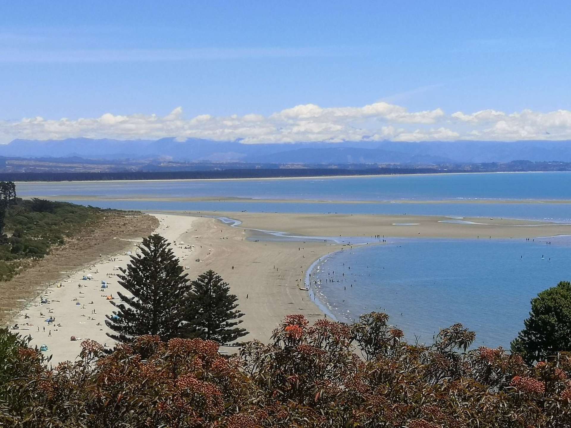 Address withheld Moana_0