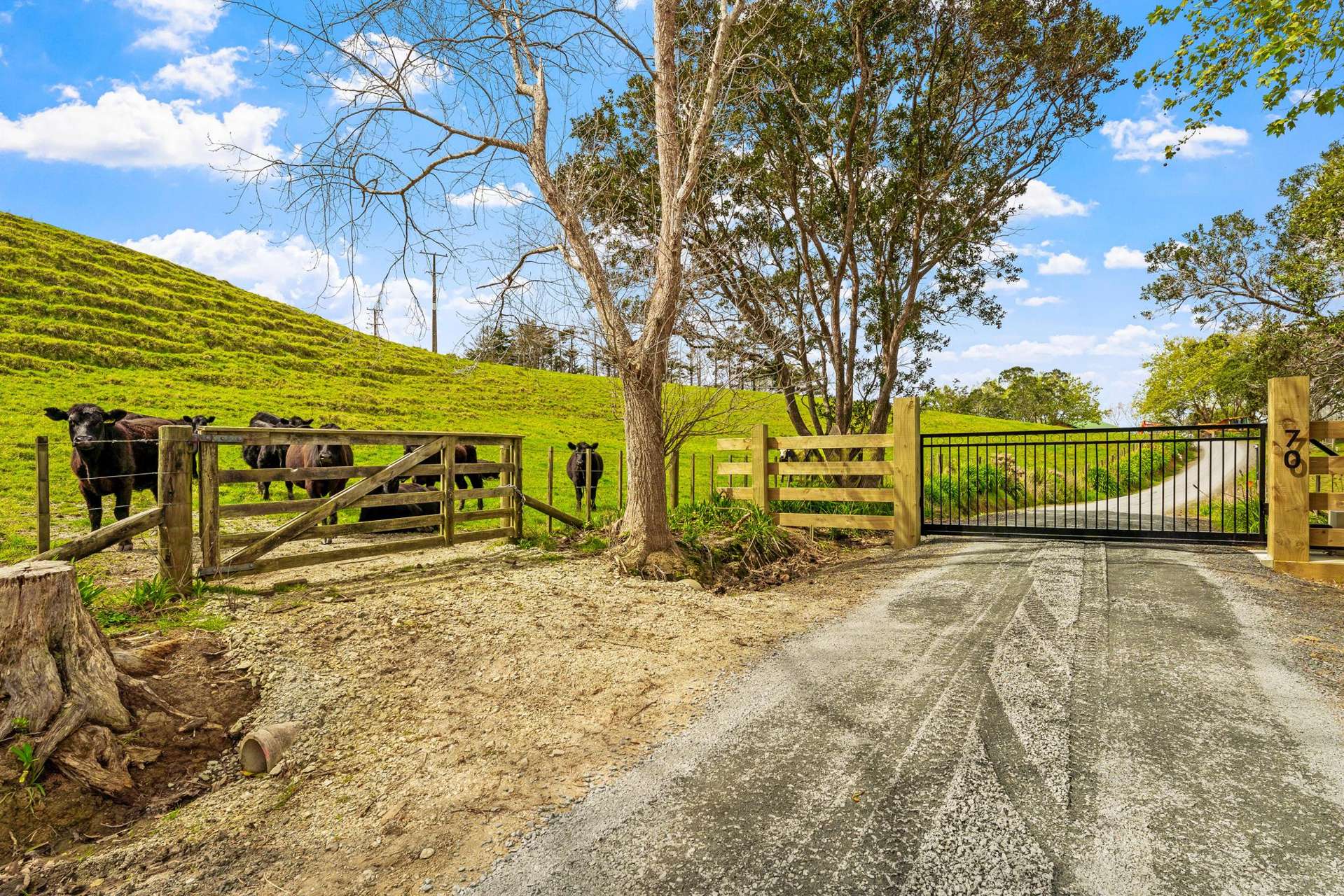 The Bush Block I Quintal Road Matakana_0