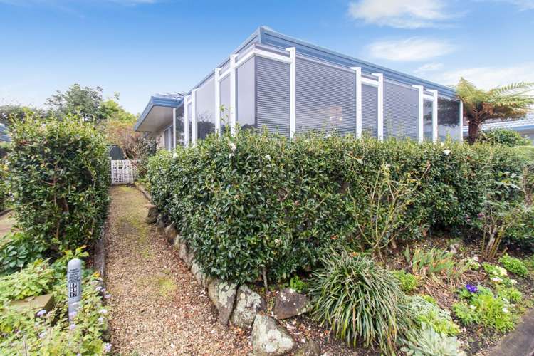 3/10 Gerard Way Saint Johns_11