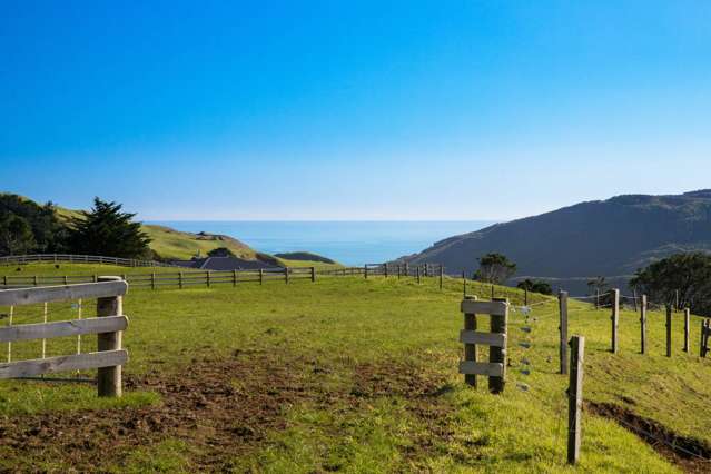 24ha – Grazing, Native Bush & Views