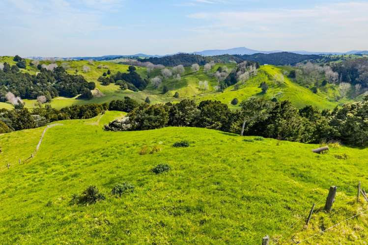 1334 Pukehuia Road Tangiteroria_25