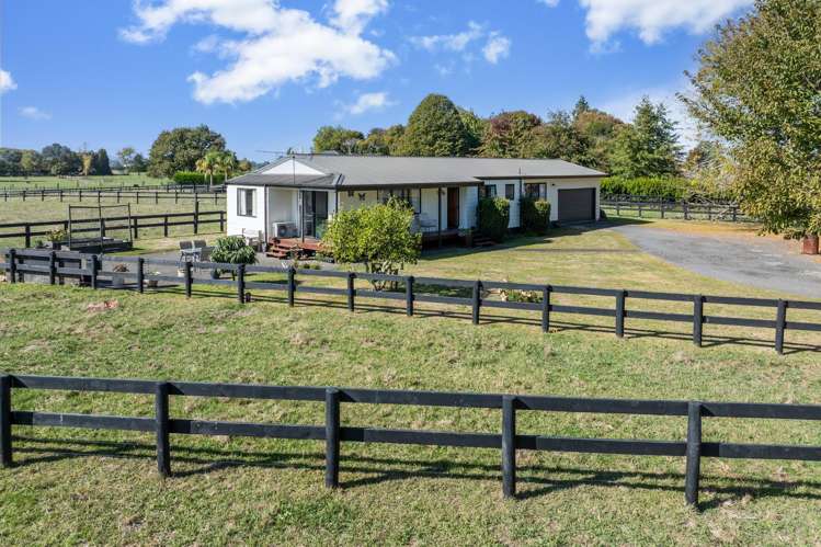 100 Bruntwood Road Pukemoremore_14