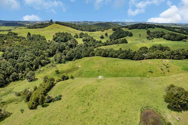 123 Homackey Road Matakohe_11