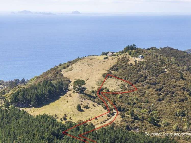 425l Boat Harbour Road Whenuakite_16